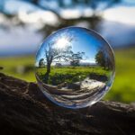 Kula szklana odbija krajobraz natury