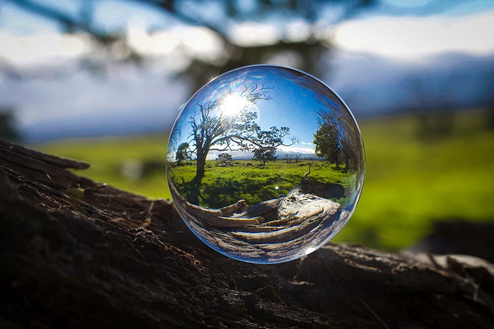 Kula szklana odbija krajobraz natury